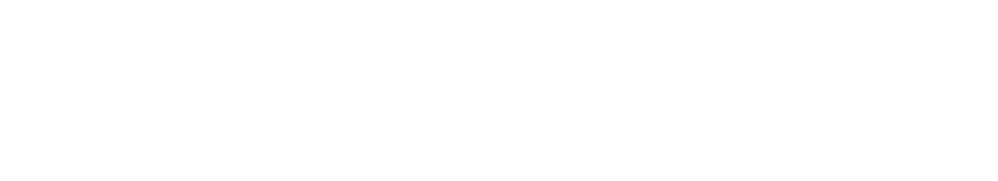 Sabel Systems Technology Solutions