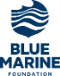 Blue Marine Foundation