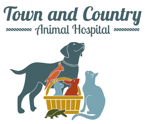 Town And Country Animal Hospital
