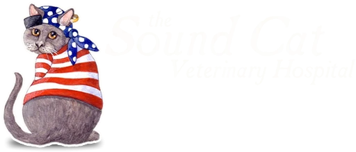 The Sound Cat Veterinary Hospital