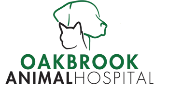 Oakbrook Animal Hospital