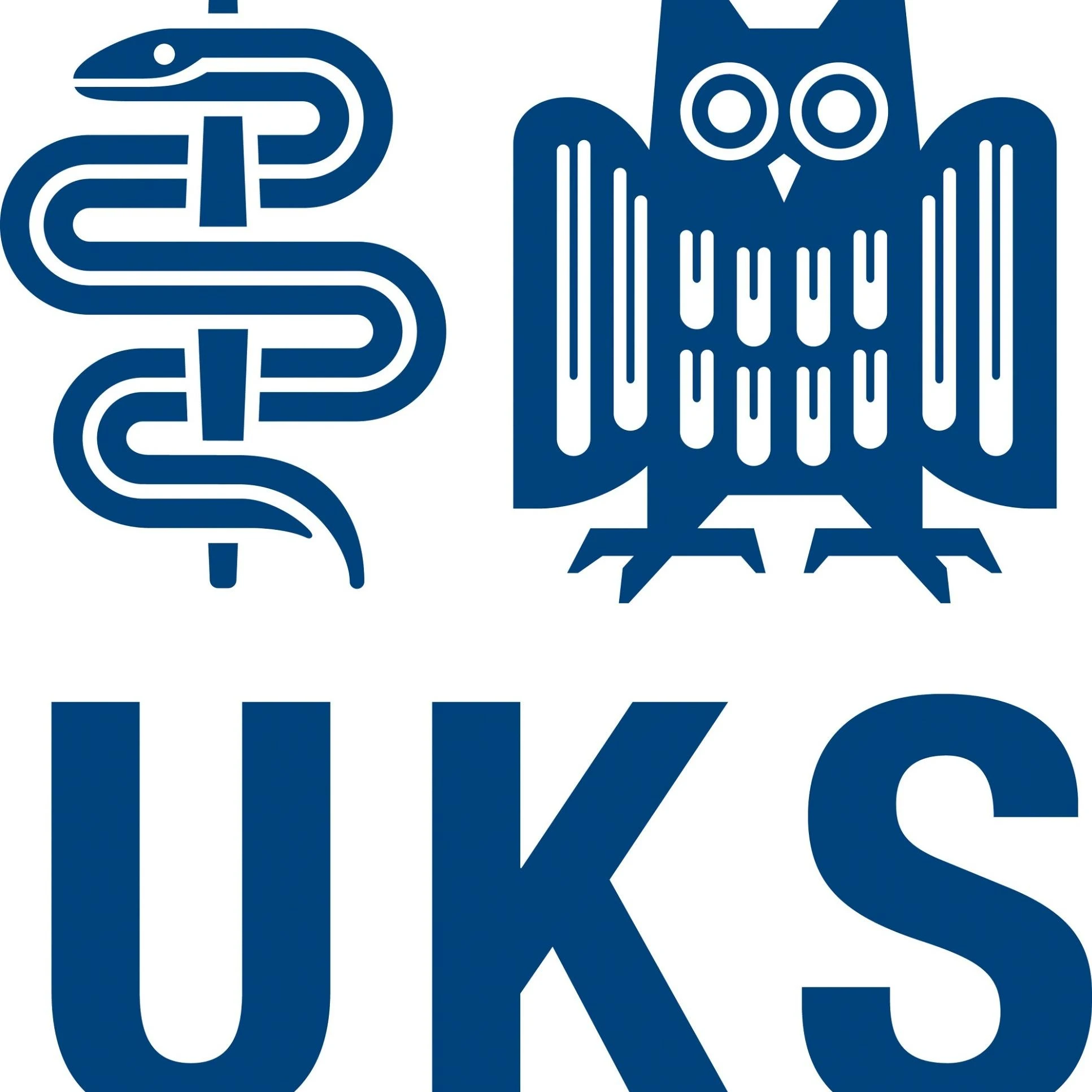 Universitätsklinikum Des Saarlandes