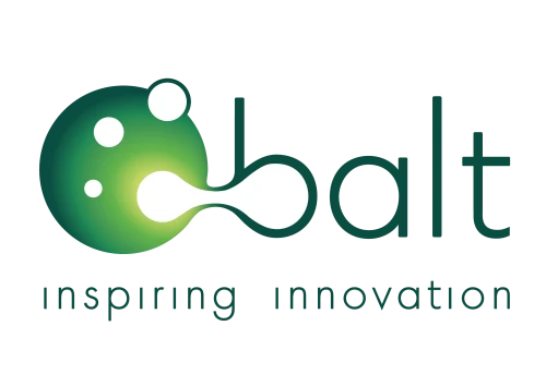 Balt Group