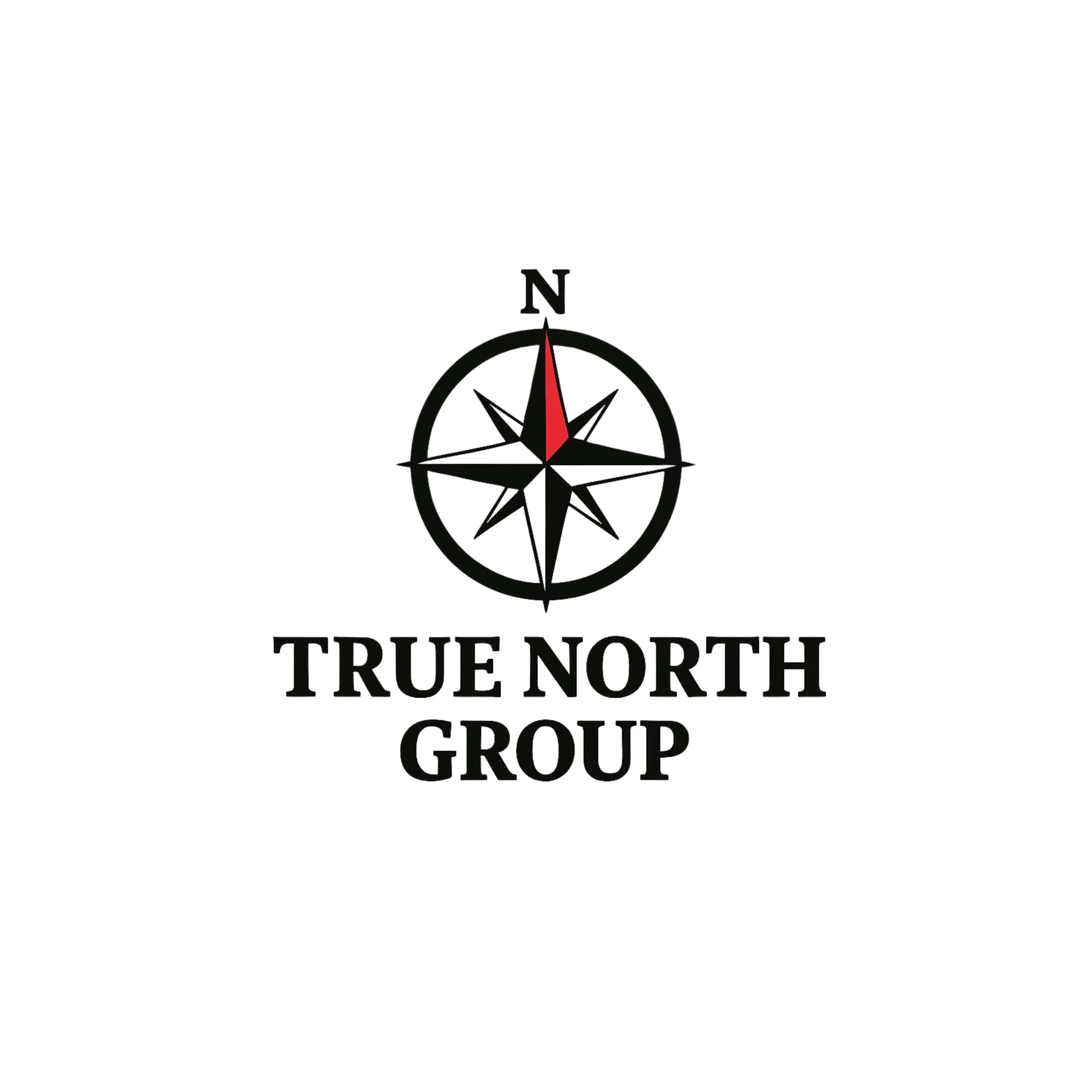 True North Group