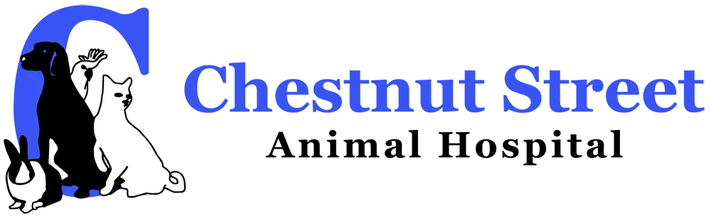 Chestnut Street Animal Hospital
