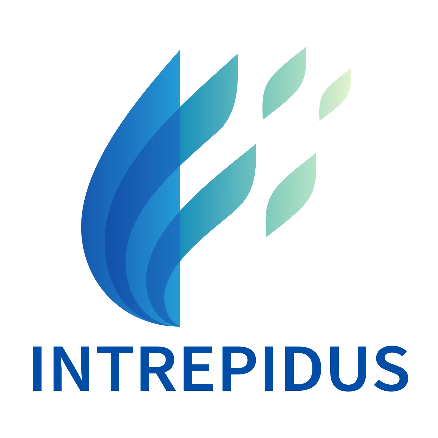 Intrepidus Talent Solutions