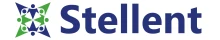 Stellent It Llc
