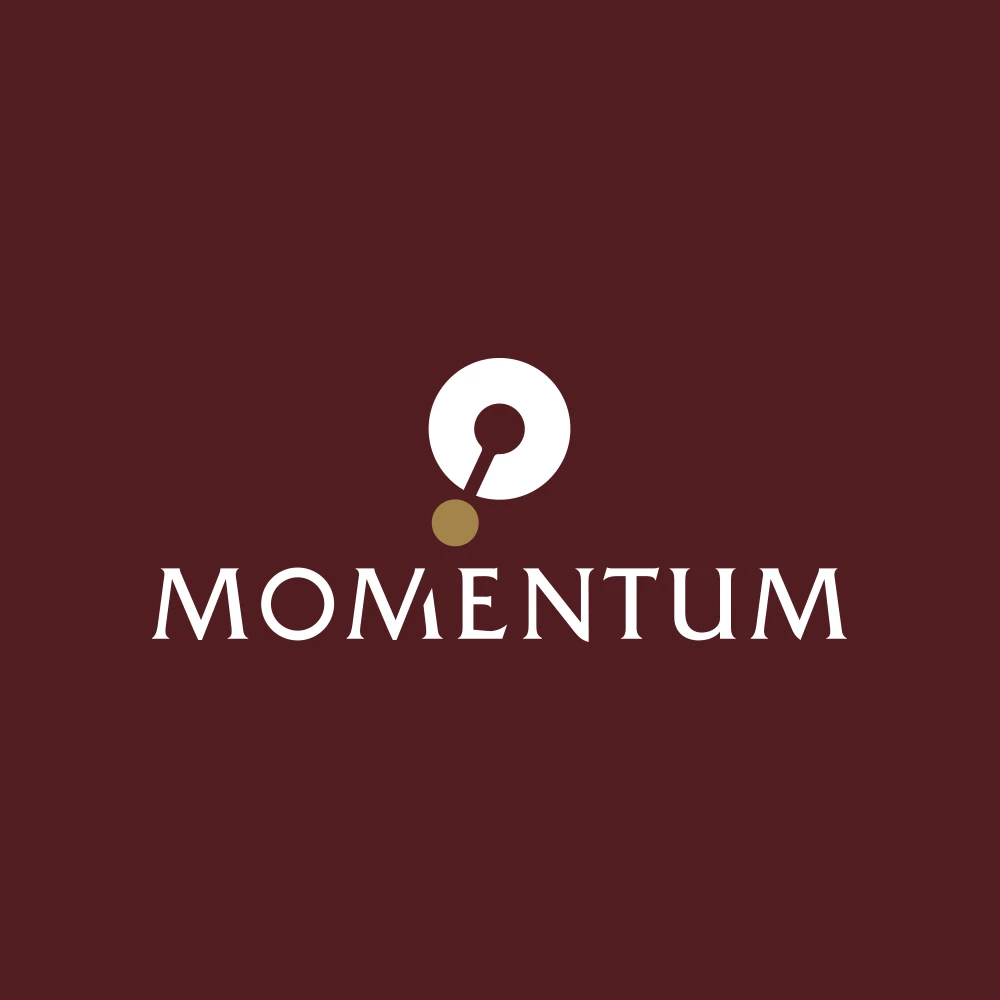 Momentum Corporate Services Provider Llc