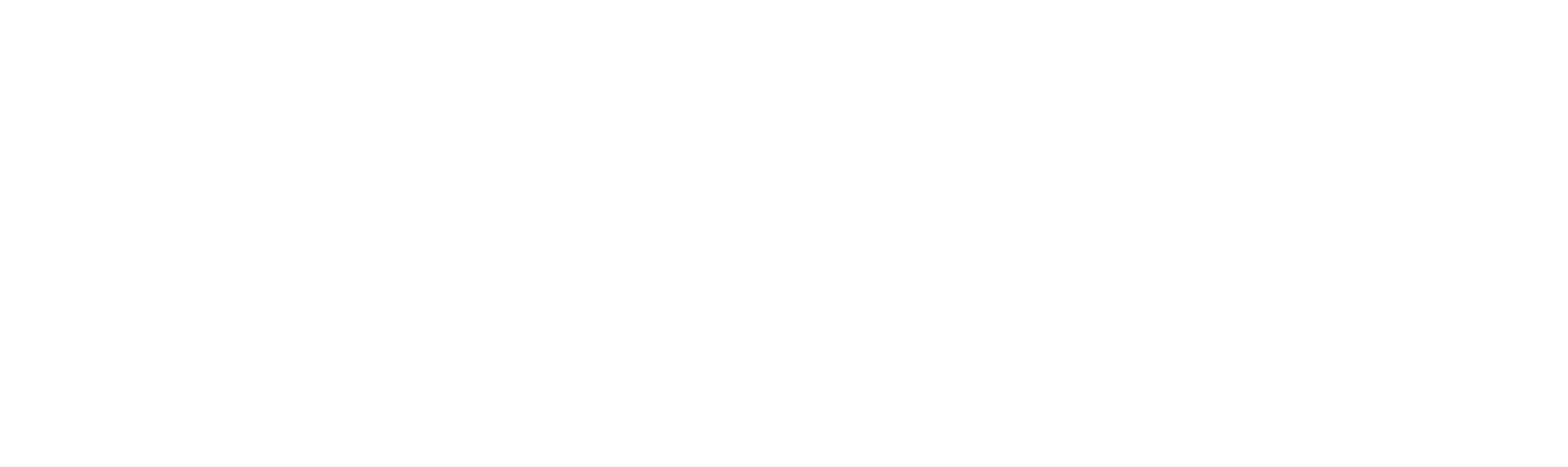 Elevacare