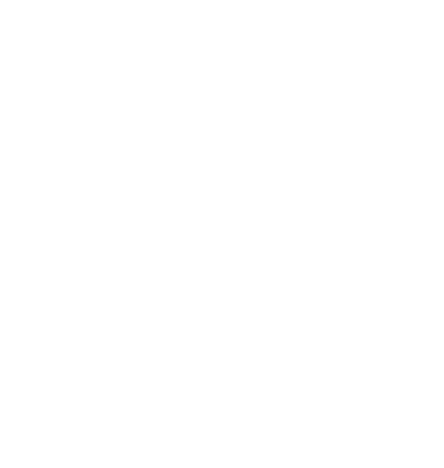 Eleven Career