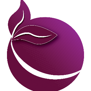 المدرسة الهندية الدولية Overview Overview