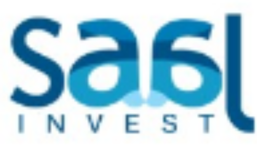 Saalinvest Overview Overview