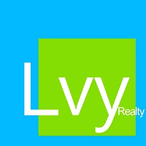 Lvy Realty Overview
