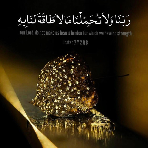 Spark Social Overview Overview