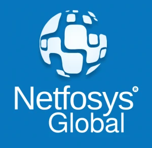 Netfosys Global Overview
