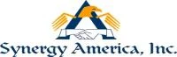 Synergy America Inc Overview