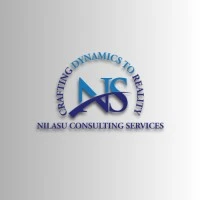 Nilasu Consulting Services Overview