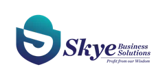 Skyebiz Overview