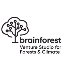 Brainforest Overview