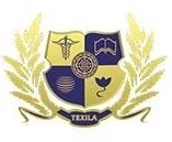 Texila Educational And Management Services Pvt Ltd Overview