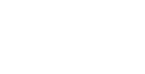 Birgo