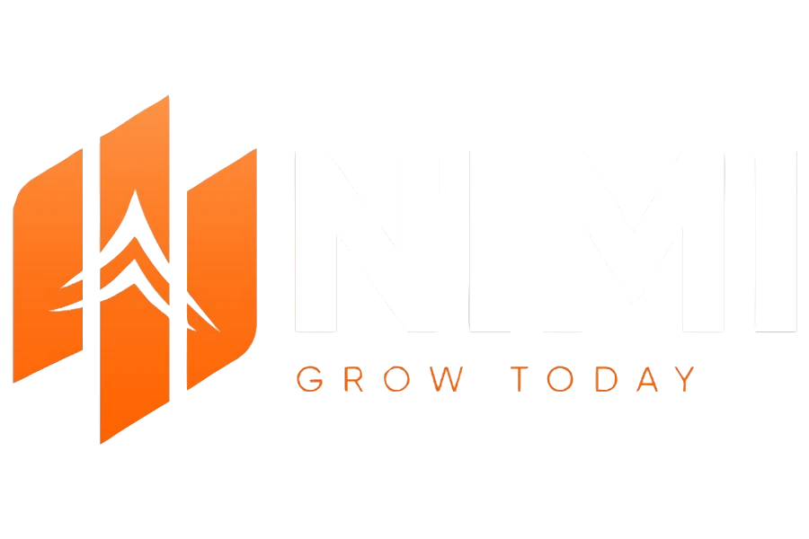 Nimi Tech Limited Overview