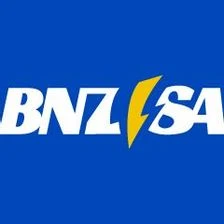 Bnzsa Overview