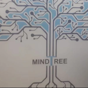 Echo Technology Company Overview