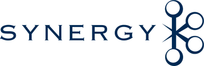 Synergy Overview