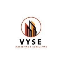 Vyse Consulting Group