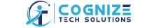 Cognize Tech Solutions Llc