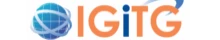 Igitg Llc Overview