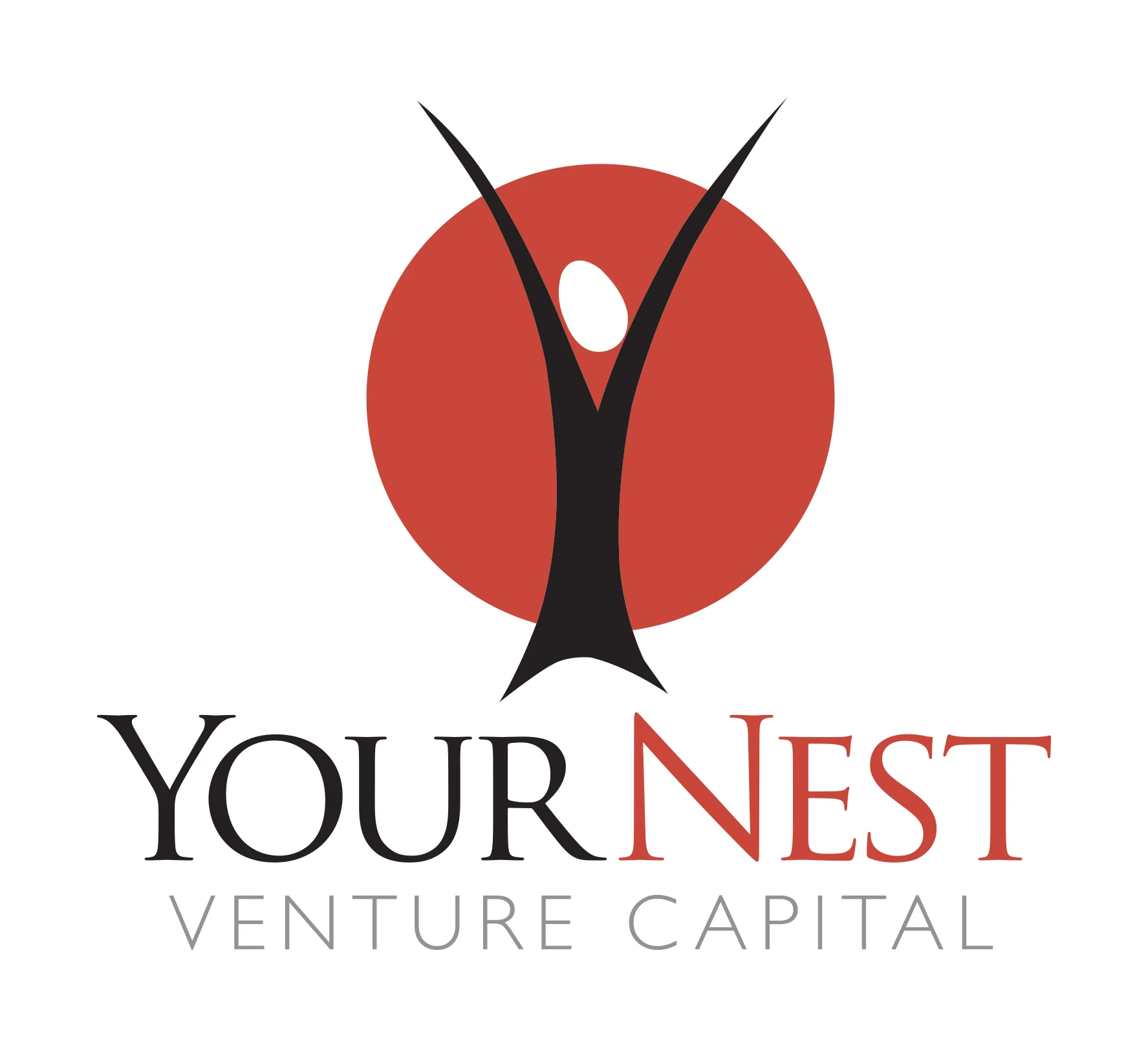 Yournest Venture Capital Overview