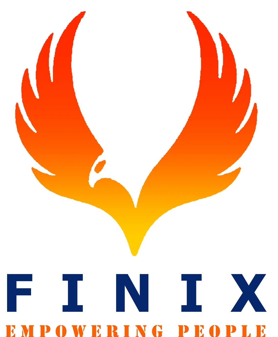 Finix Consulting Overview