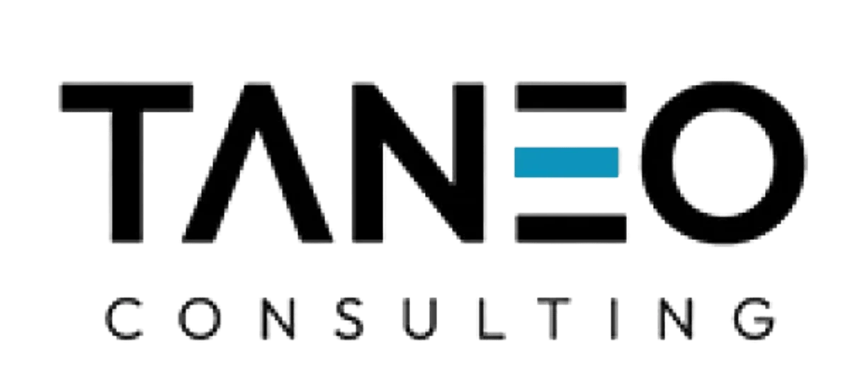 Taneo Consulting Overview