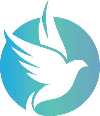 Sun Sand Sports Llc Overview