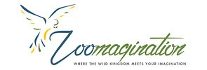 Zoomagination Llc