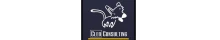 Cleo Consulting