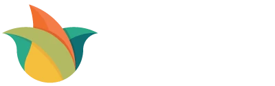 Yellow Seed Consulting