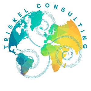 Triskel Consulting Overview