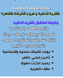 Besomi Electronics Group Overview