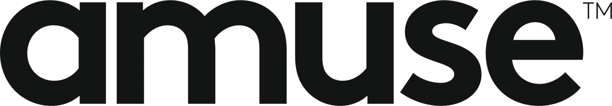 Amusement Services International LLC