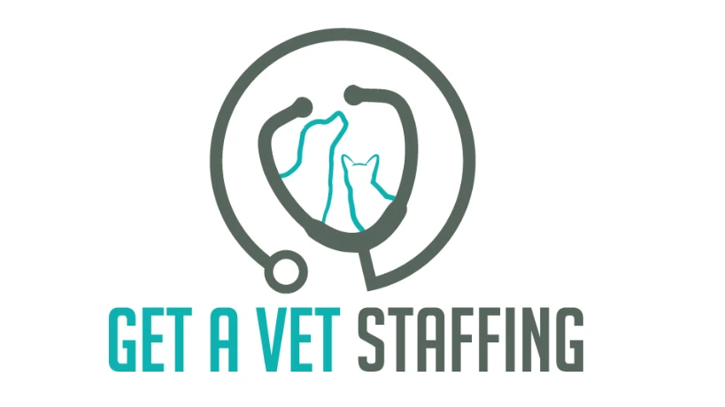 Airbus Tours Company Overview