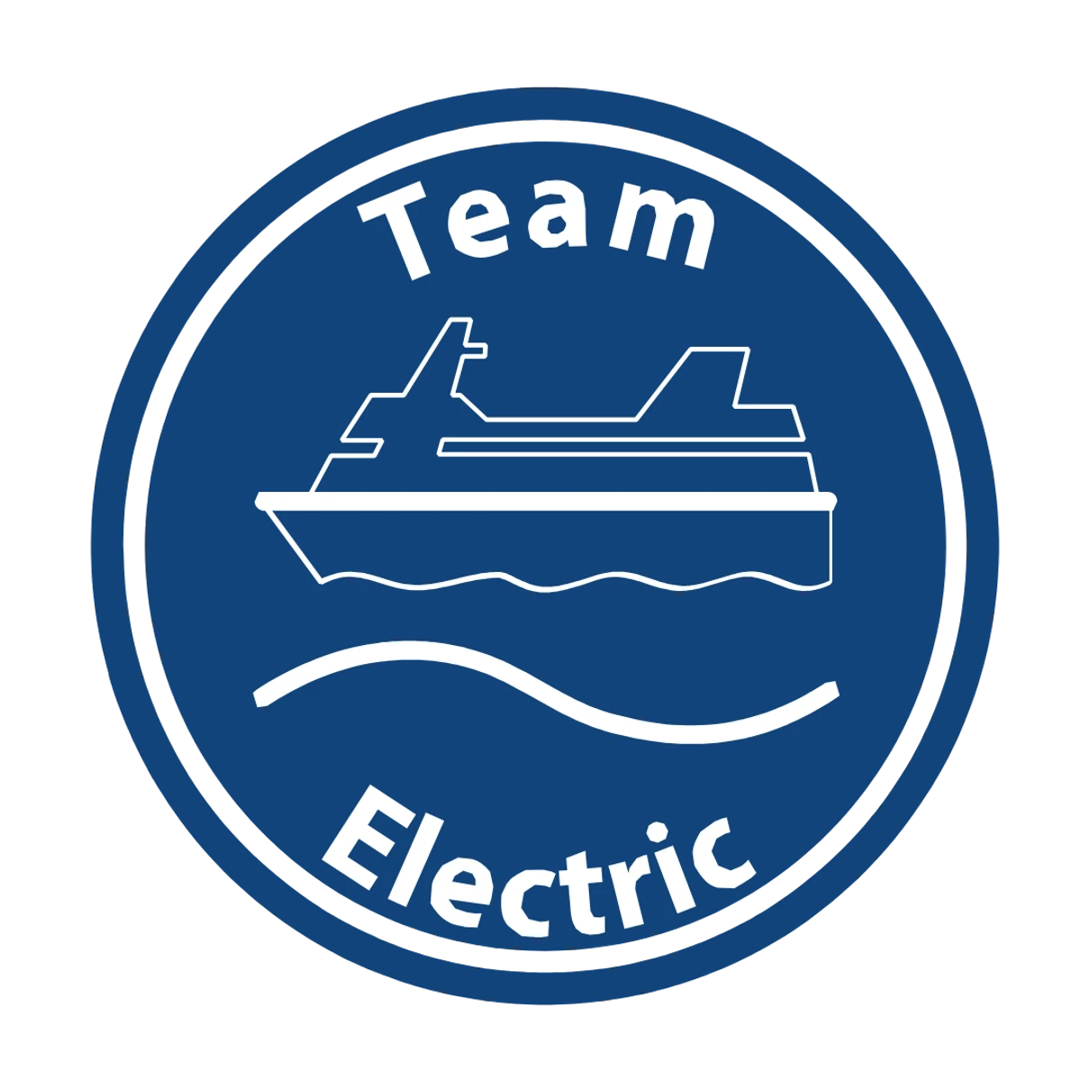 Team Electric Group
