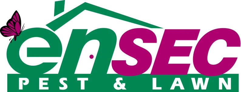 Azar Human Resource Solutions