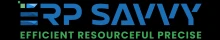 Erp Savvy Llc