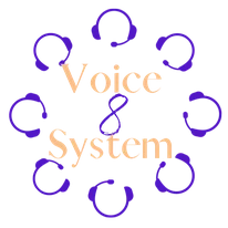Voice 8 System