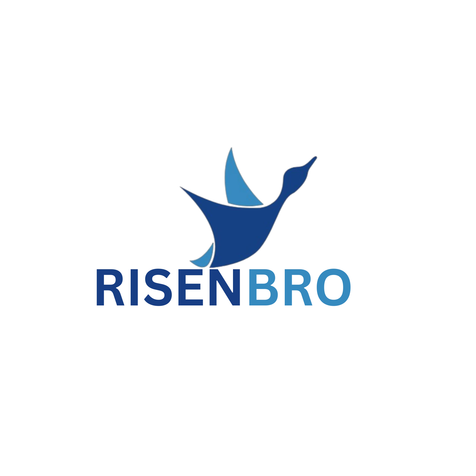 Risenbro Innoace Private Limited