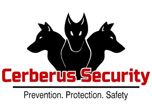 Axa Egypt Mea Overview