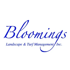 El Maaly Egypt Overview